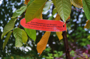 Tag der deutschen Einheit